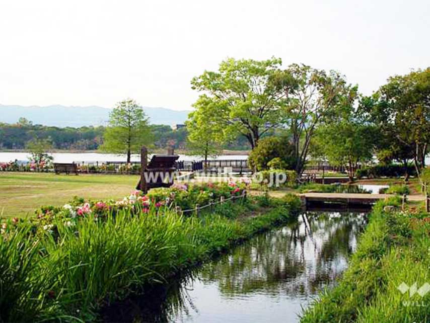 昆陽池公園