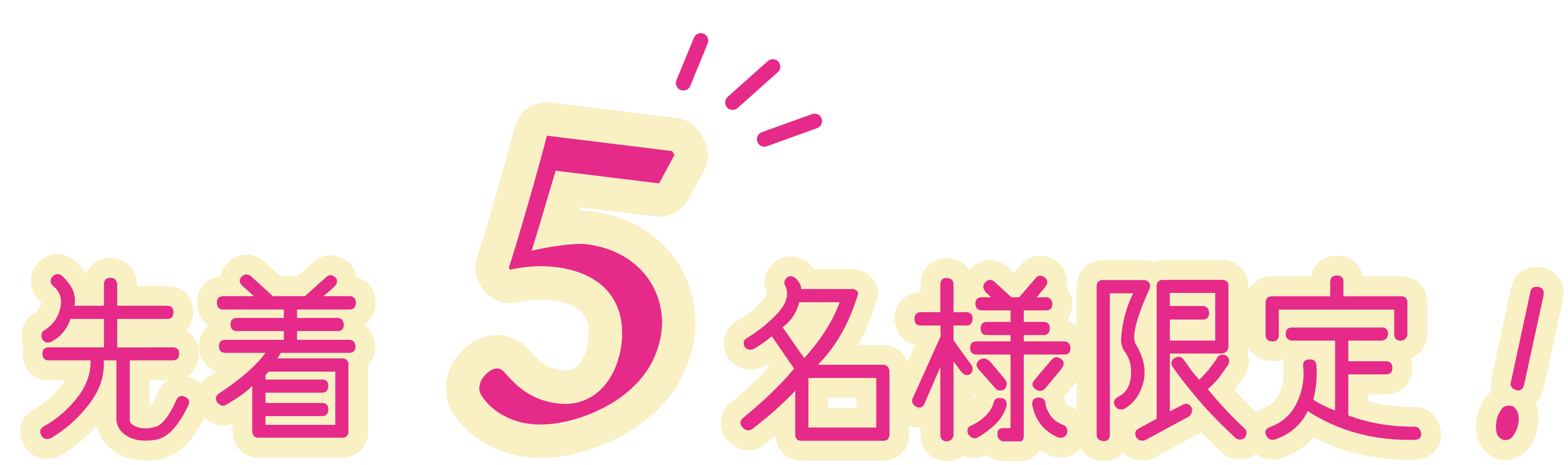 先着5名様限定